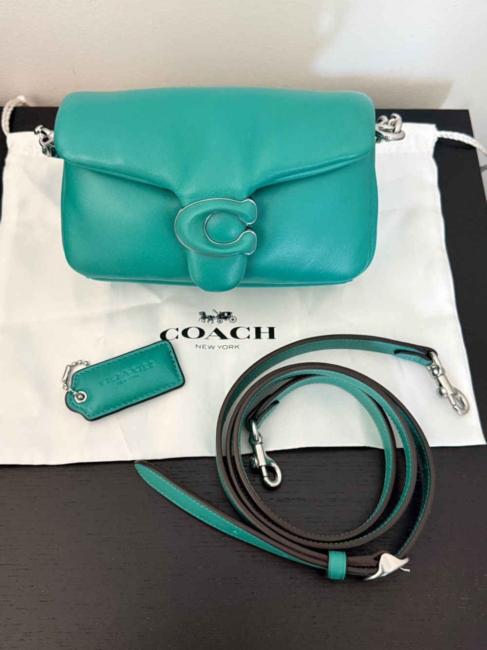 *AUTHENTIC* COACH PILLOW TABBY 18